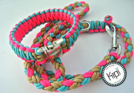 Paracord lijn en halsband combinatie