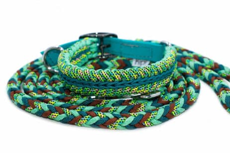 Hondenlijn en halsband "Rainforrest"
