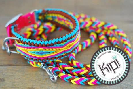 Ibiza halsband en hondenlijn