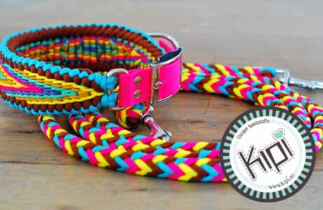 Ibiza halsband en hondenlijn