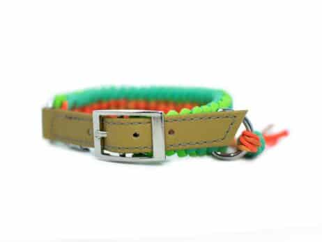 Hondenlijn en halsband "Mliss" - Image 3