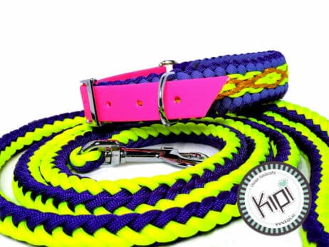 Hondenlijn en halsband "Laka" - Image 2