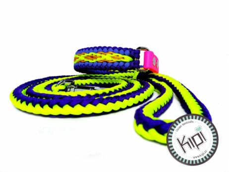 Hondenlijn en halsband "Laka"