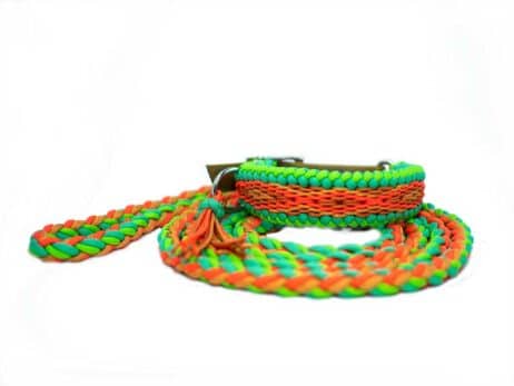 Hondenlijn en halsband "Mliss"