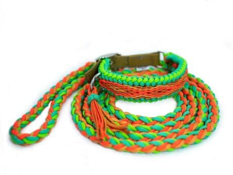 Hondenlijn en halsband "Mliss" - Image 2