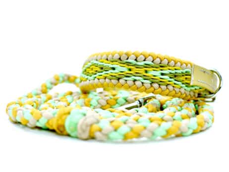 Hondenlijn en halsband "Awapuhi"