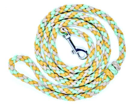 Hondenlijn en halsband "Awapuhi" - Image 3