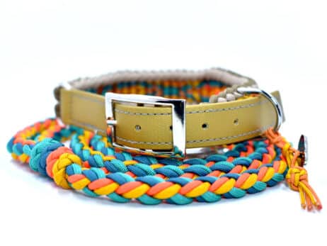 Hondenlijn en halsband "Meli" - Image 3