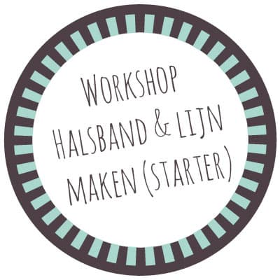 Zondag 2 April – workshop LIJN & HALSBAND maken (beginner)