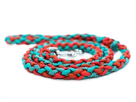 Hondenlijn en halsband "Manu Aloha" - Image 2