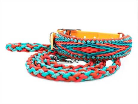 Hondenlijn en halsband "Manu Aloha" - Image 5