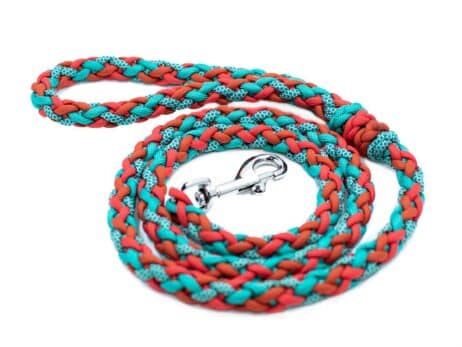 Hondenlijn en halsband "Manu Aloha" - Image 4