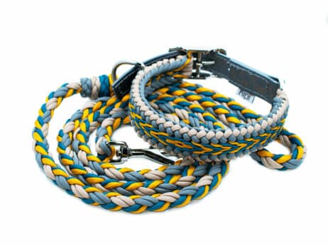 Hondenlijn en halsband "Kuekene" - Image 2