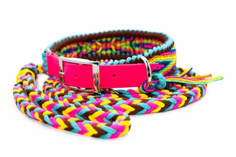 Hondenlijn en halsband "Ibiza" - Image 3