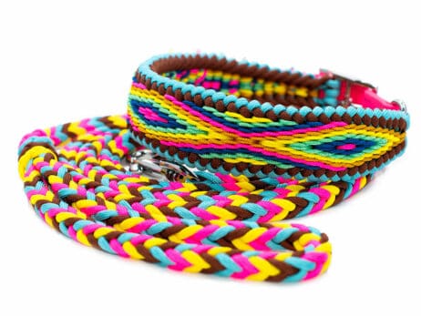 Hondenlijn en halsband "Ibiza"