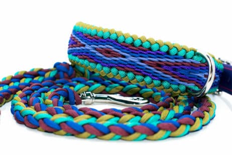 Hondenlijn en halsband "Mo'o"