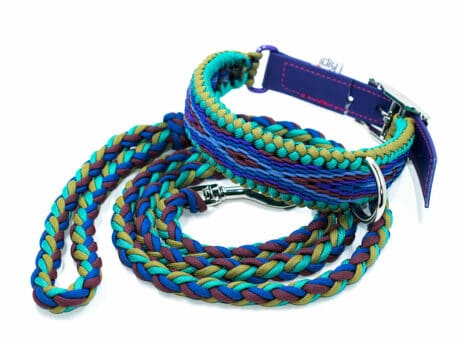 Hondenlijn en halsband "Mo'o" - Image 2