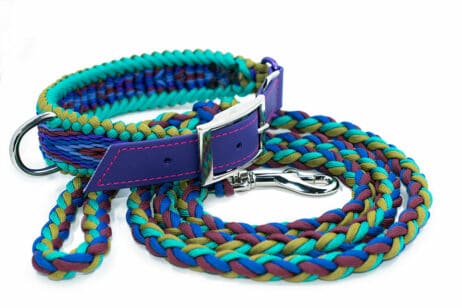 Hondenlijn en halsband "Mo'o" - Image 3