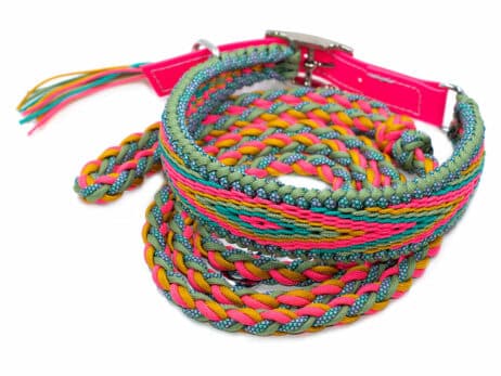 Hondenlijn en halsband "Kanake" - Image 3