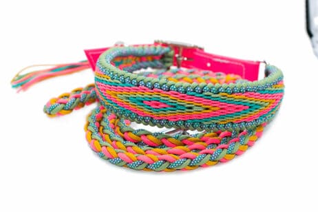 Hondenlijn en halsband "Kanake" - Image 2