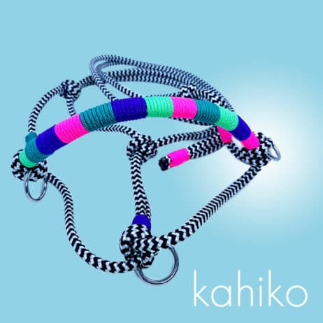 Touwhalster kahiko - Image 2