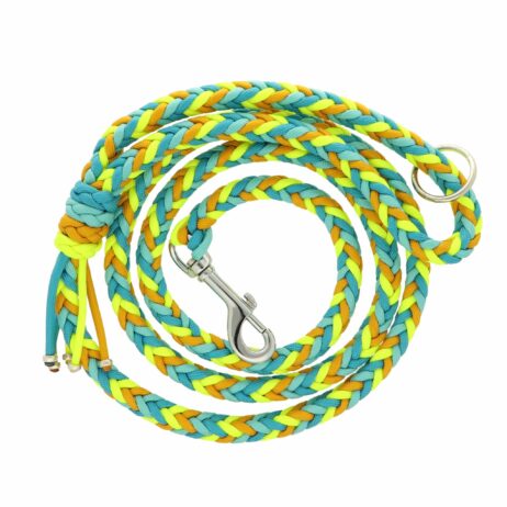DIY Hondenlijn Polu - Image 2
