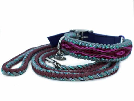 Hondenlijn en halsband "Mea Inu"