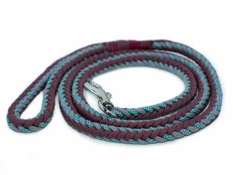 Hondenlijn en halsband "Mea Inu" - Image 3