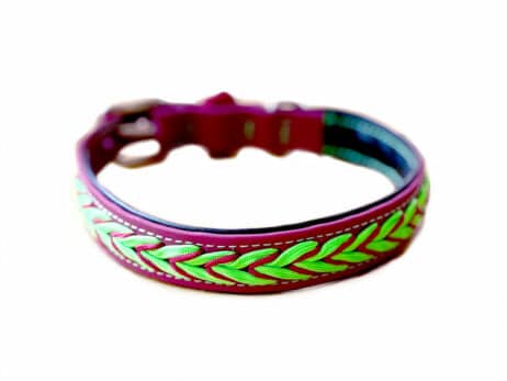 Halsband - Ko'i Lipi